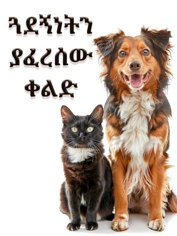 ጓደኝነትን ያፈረሰው ቀልድ