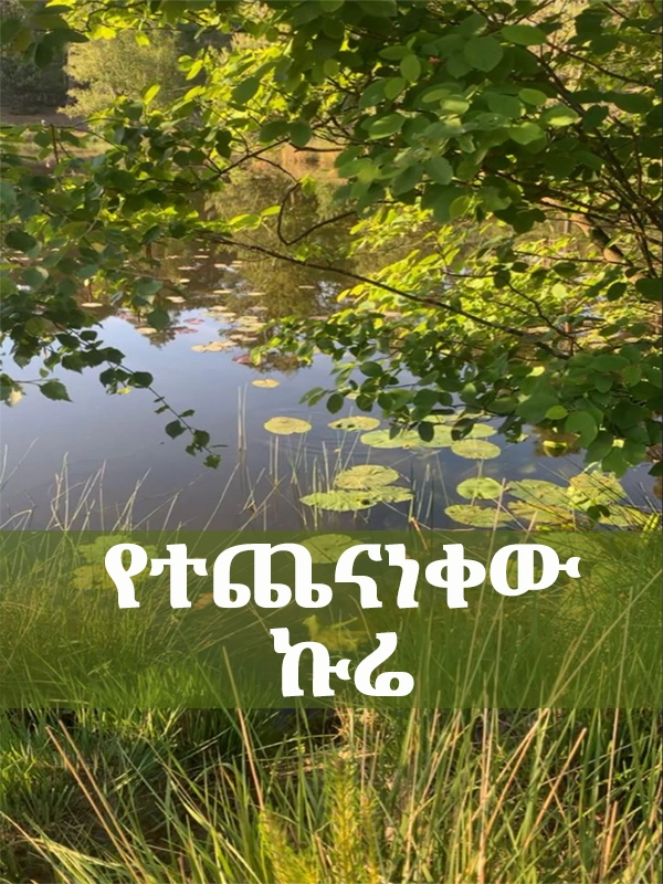 የተጨናነቀው ኩሬ