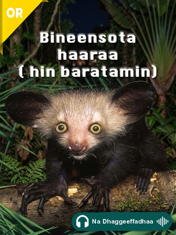 Bineensota Addaa