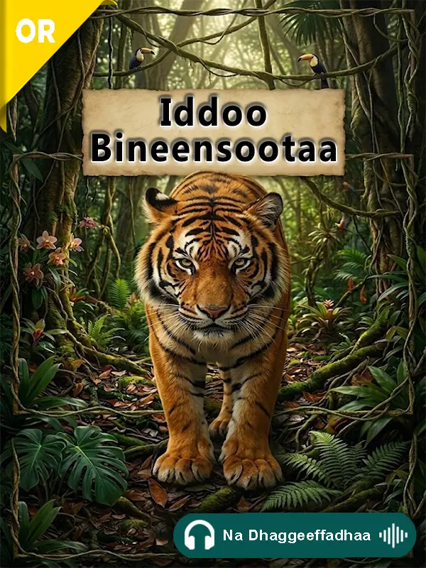 Iddoo Bineensootaa