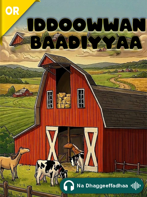 Iddoowwan Baadiyyaa