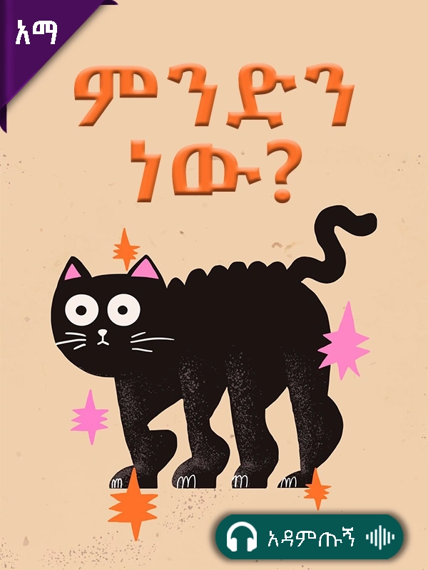 ምንድን ነው?