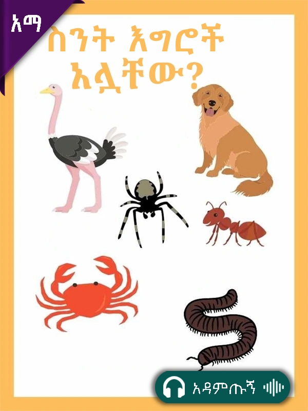 ስንት እግሮች አሏቸው?