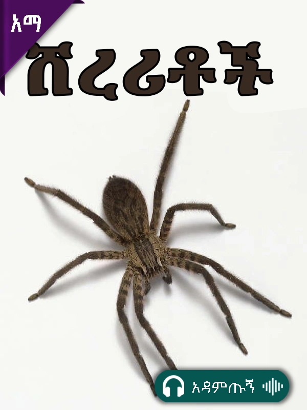 ሸረሪቶች