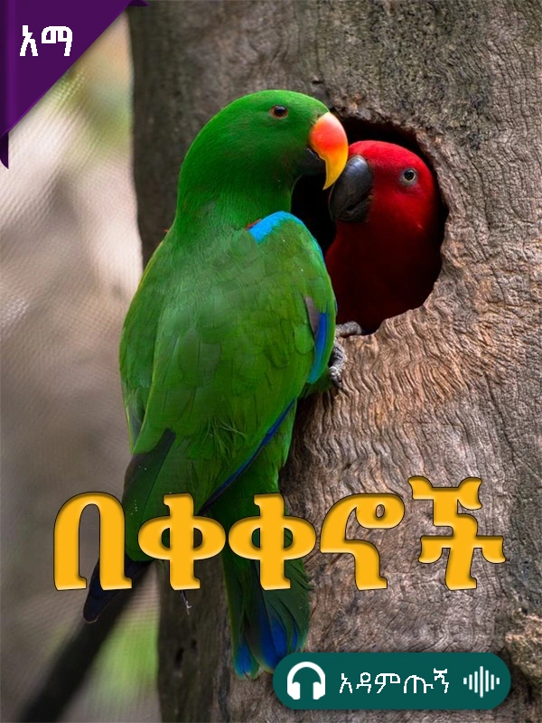በቀቀኖች