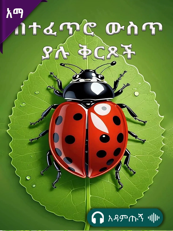 በተፈጥሮ ውስጥ ያሉ ቅርጾች