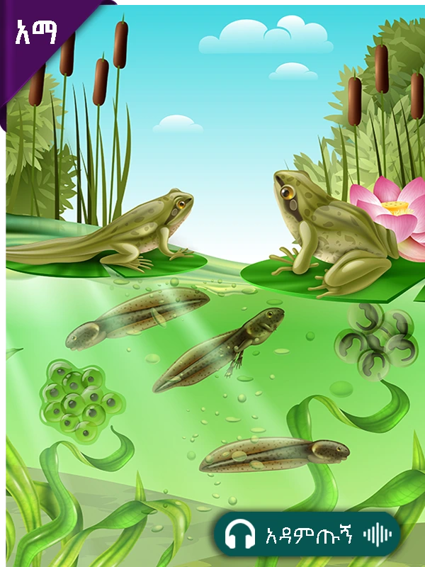 በገጠር የሚገኙ እንስሳት