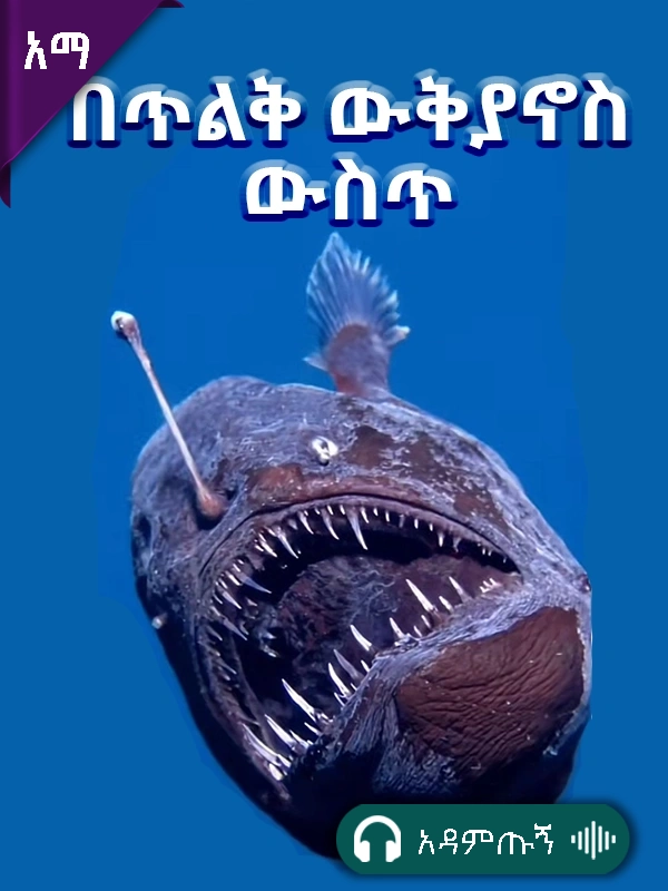 በጥልቅ ውቅያኖስ ውስጥ