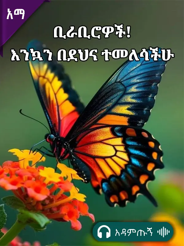 ቢራቢሮዎች እንኳን በደህና ተመለሳችሁ