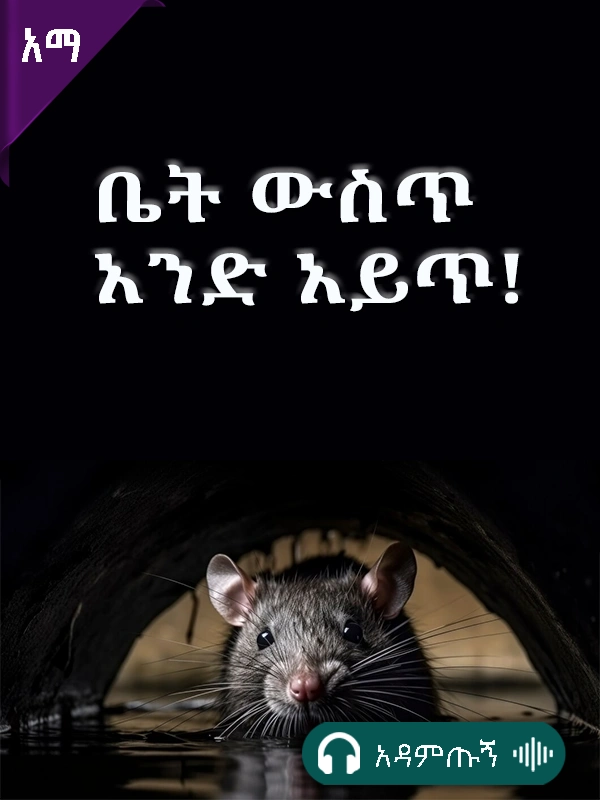 ቤቱ ውስጥ አንድ አይጥ!