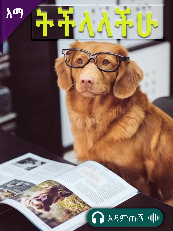 ትችላላችሁ