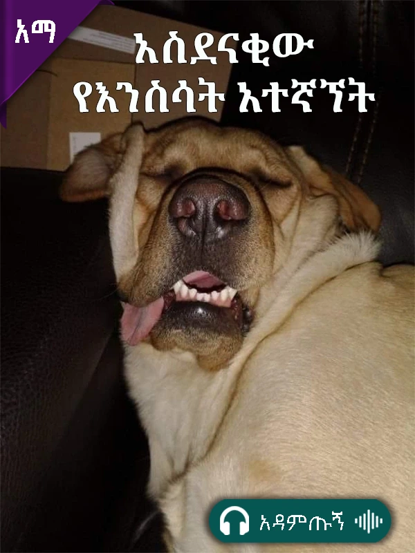 አስደናቂው የእንስሳት አተኛኘት