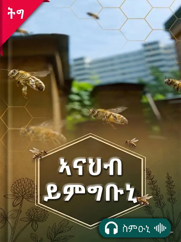 ኣናህብ ይምግቡኒ