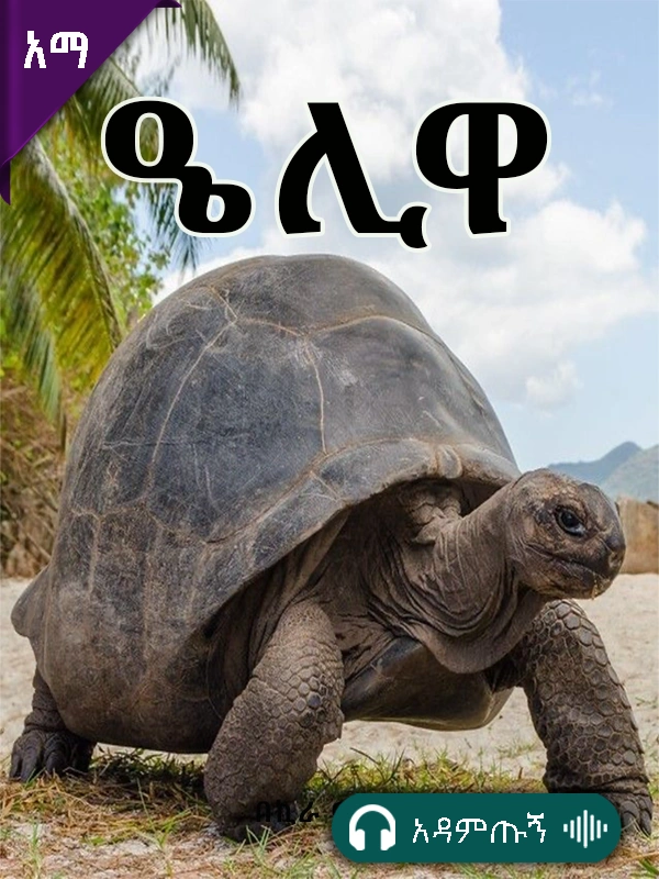 ኤሊዋ