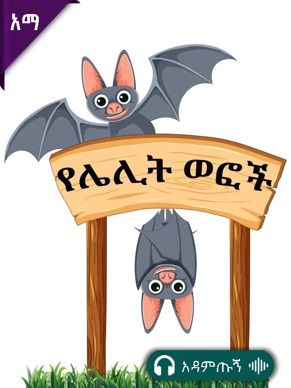 የሌሊት ወፎች