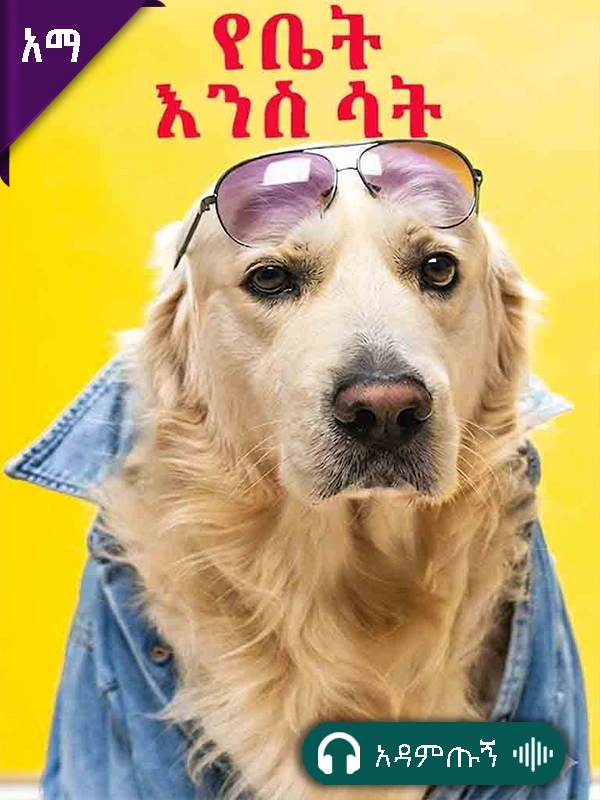 የቤት እንስሳት
