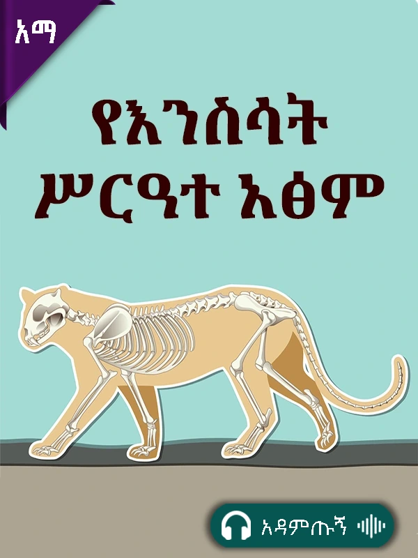 የእንስሳ ሥርዓተ አፅም