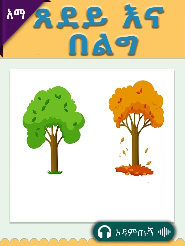 ፀደይ እና በልግ