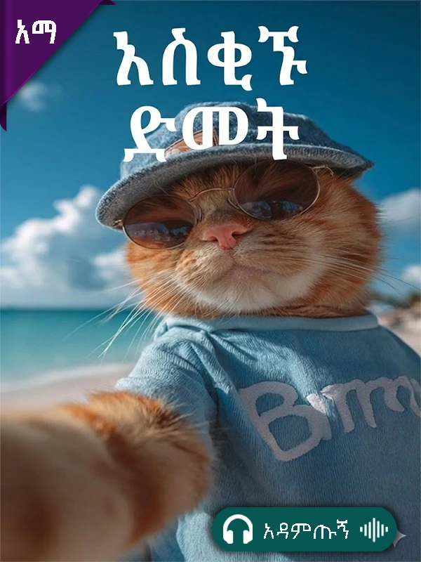 አስቂኙ ድመት