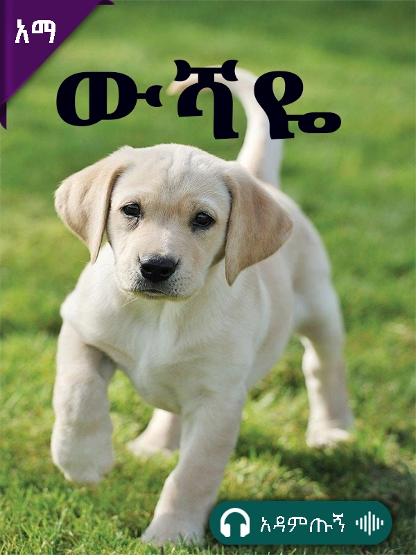 ውሻዬ