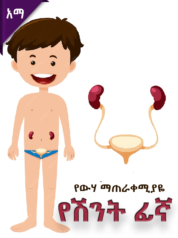 የውሃ ማጠራቀሚያዬ-ፊኛ (Bladder)