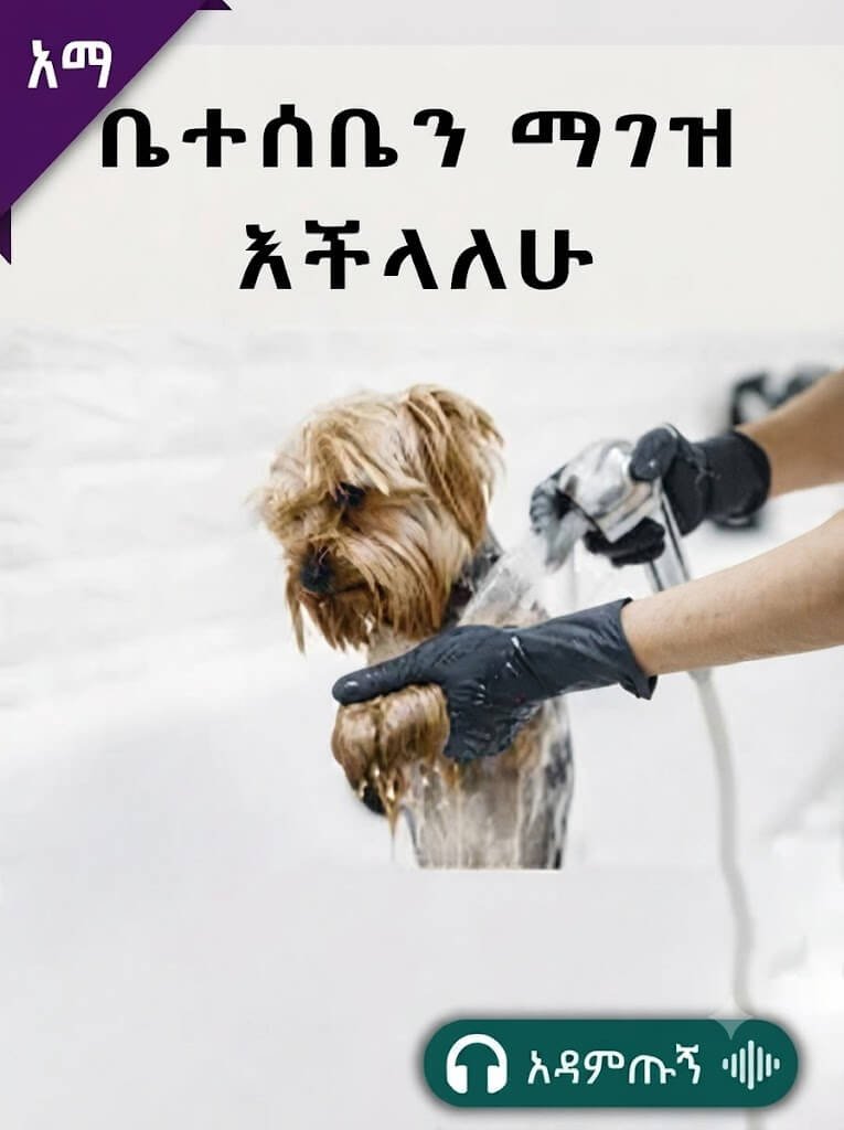 ቤተሰቤን ማገዝ እችላለሁ