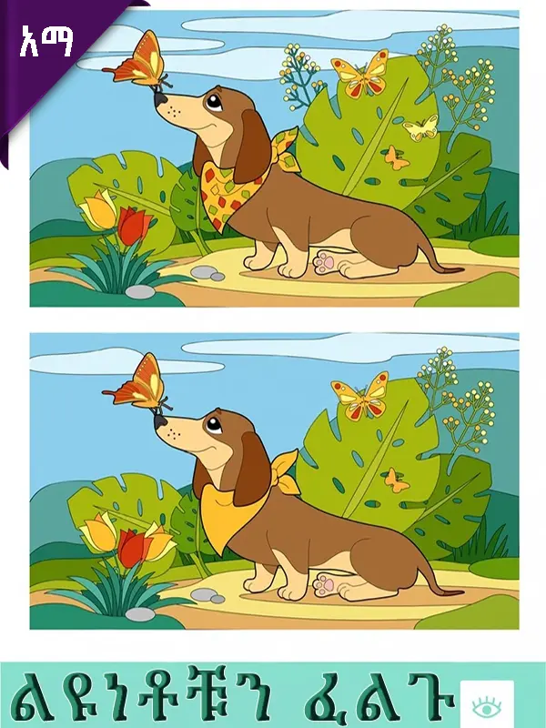 ልዩነቶቹን ፈልጉ