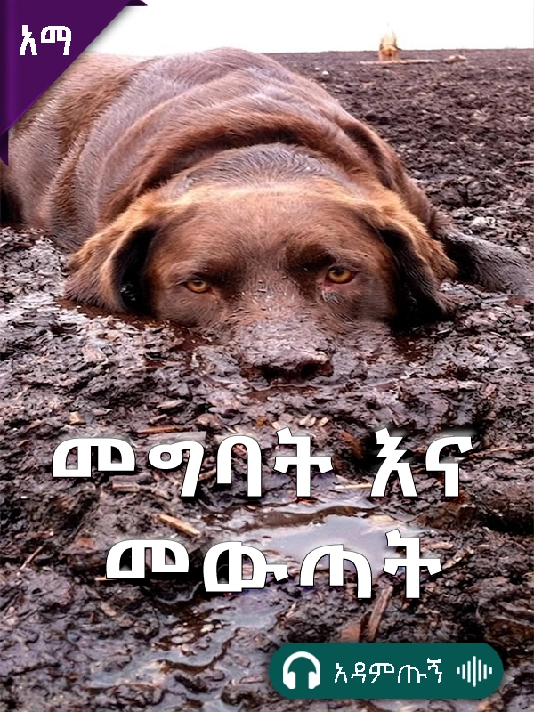 መግባት እና መውጣት