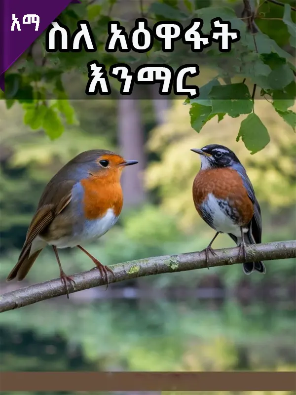 ስለ አዕዋፋት እንማር