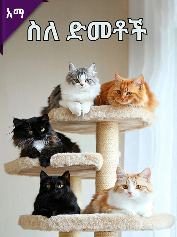 ስለ ድመቶች