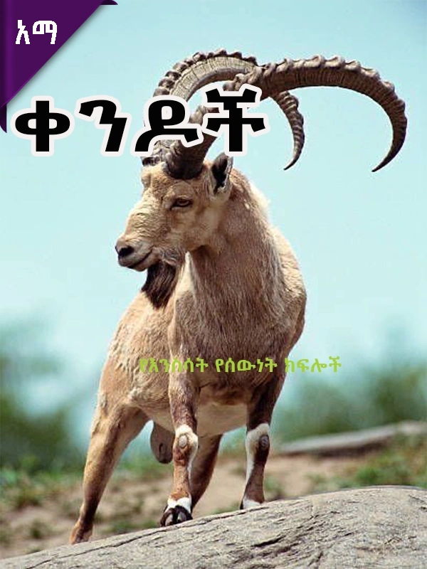 የእንስሳት የሰውነት ክፍሎች፡- ቀንዶች