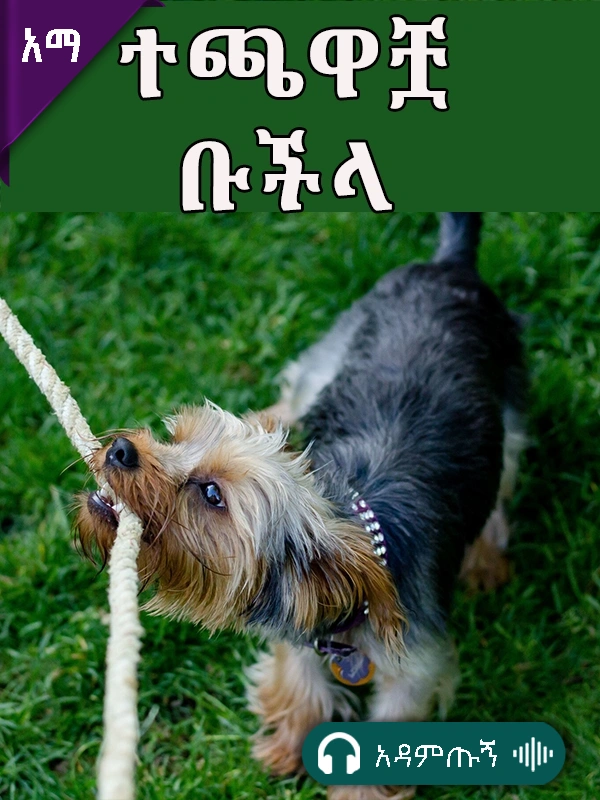 ተጫዋቿ ቡችላ