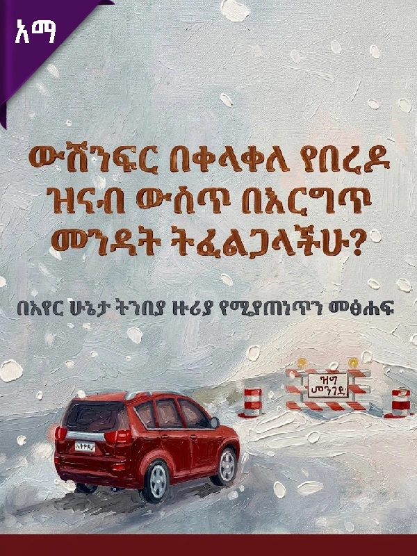 ውሽንፍር በቀላቀለ የበረዶ ዝናብ ውስጥ በእርግጥ መንዳት ትፈልጋላችሁ?