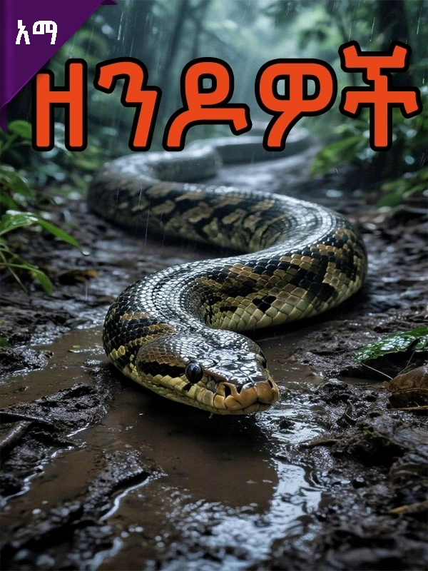 ዘንዶዎች