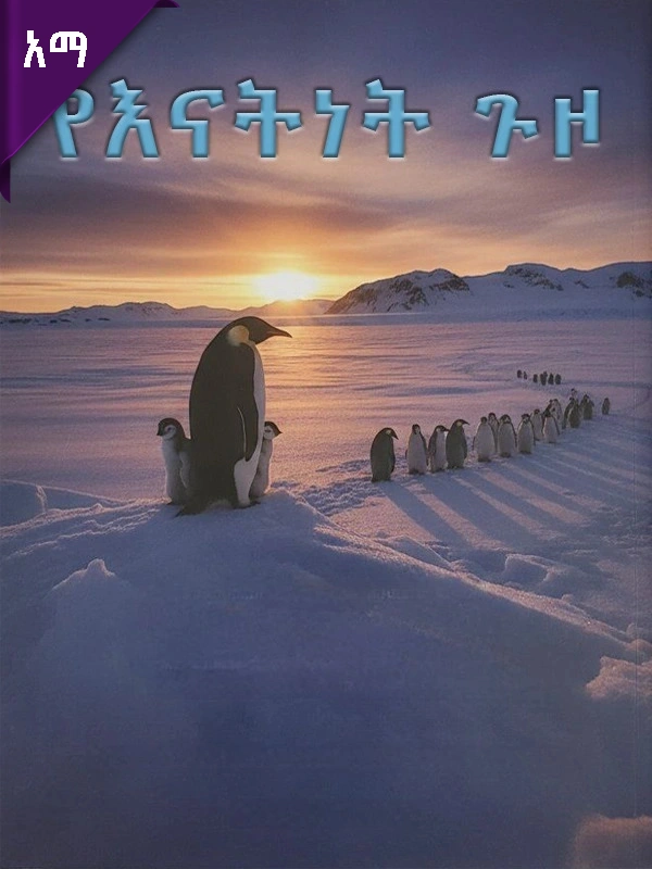 የእናትነት ጉዞ