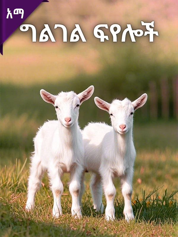 ግልገል ፍየሎች