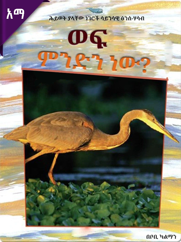 ወፍ ምንድን ነው?