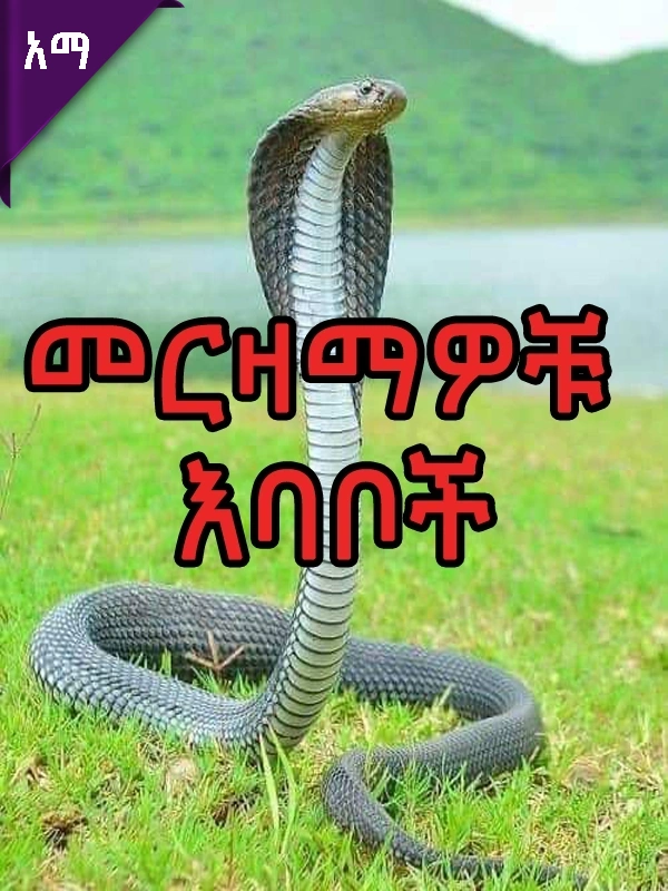 መርዛማዎቹ እባቦች