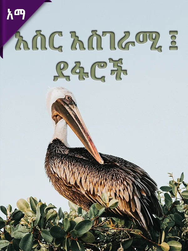 አስር አስገራሚ ፤ ደፋሮች