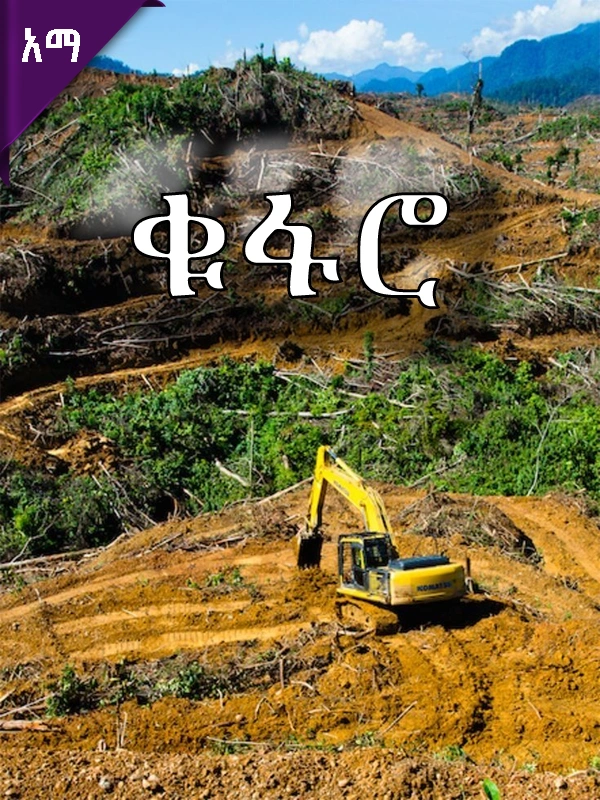 ቁፋሮ