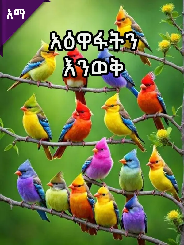 አዕዋፋትን እንወቅ