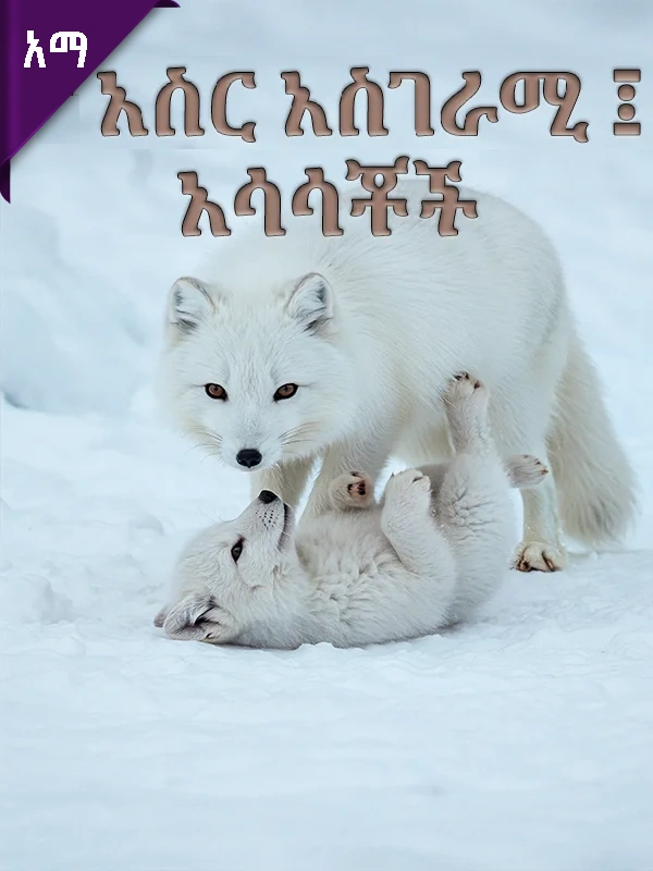 አስር አስገራሚ ፤ አሳሳቾች /ተደባቂዎች/