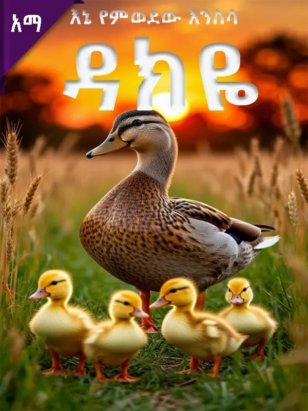 ዳክዬ