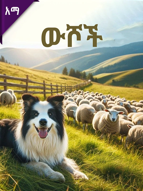 ውሾች