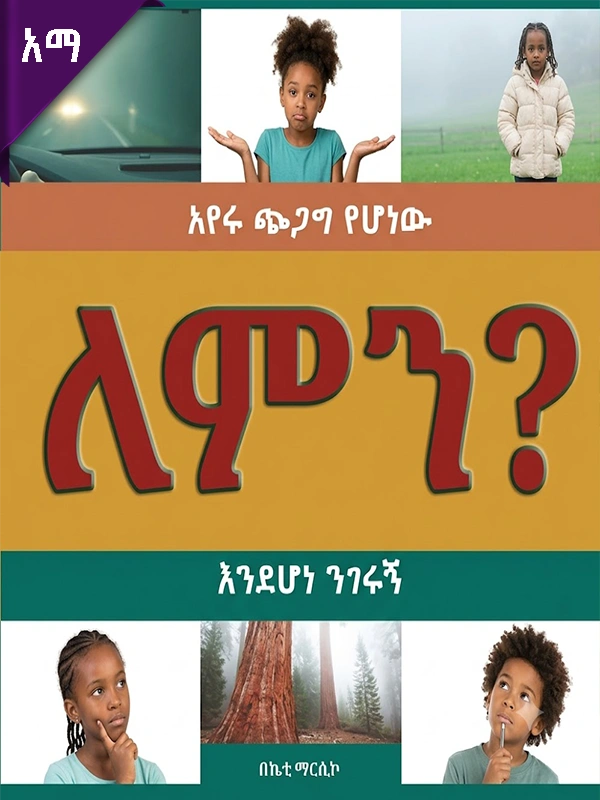 አየሩ ጭጋግ የሆነው ለምን እንደሆነ ንገሩኝ