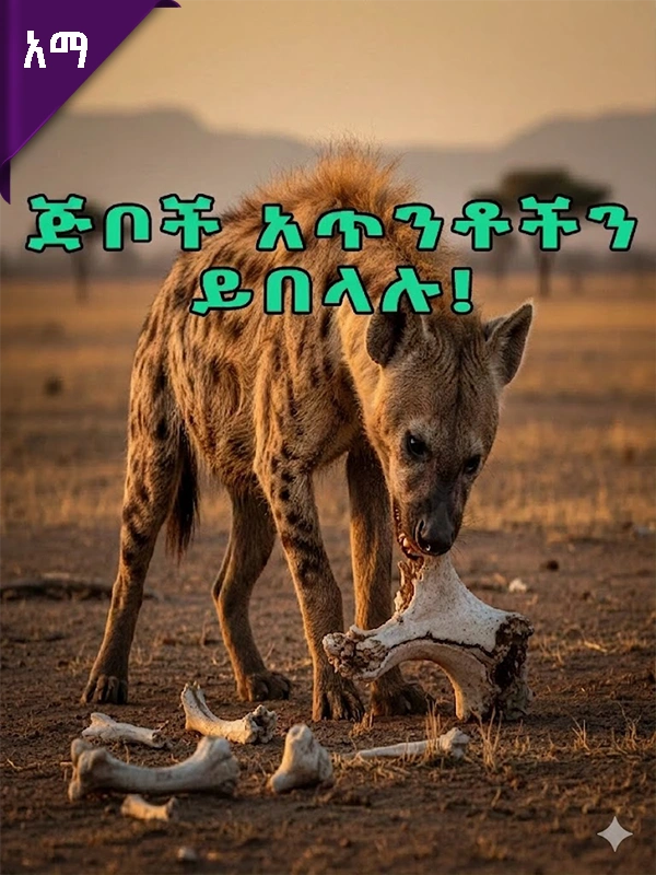 ፀያፍ ፍጥረታት – ጅቦች አጥንቶችን ይበላሉ!
