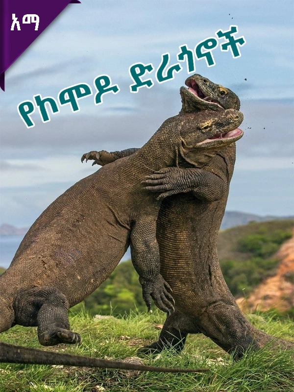 የኮሞዶ ድራጎኖች
