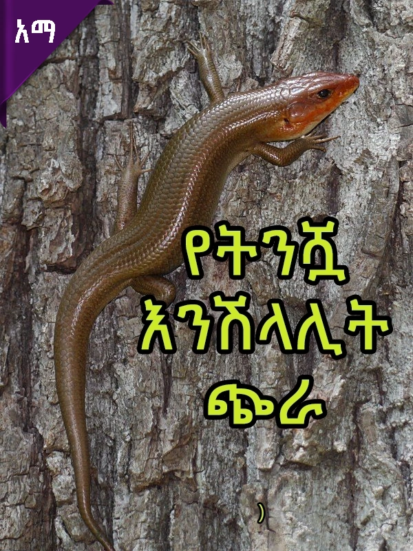 የትንሿ እንሽላሊት ጭራ