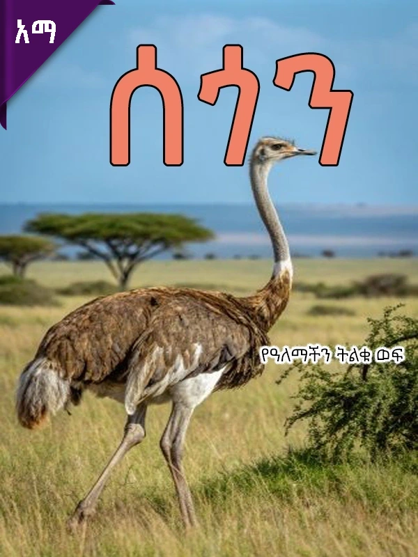 ሰጎን