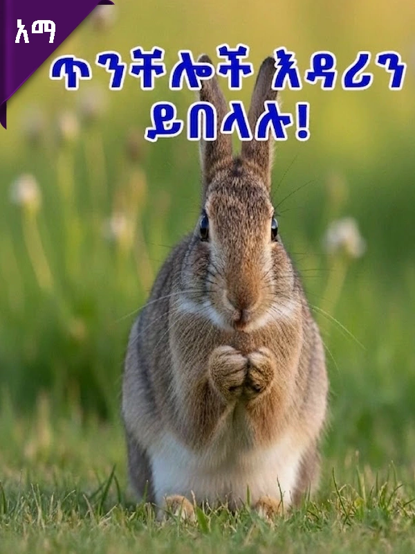አፀያፊ ፍጡራን – ጥንቸሎች እዳሪን ይበላሉ!